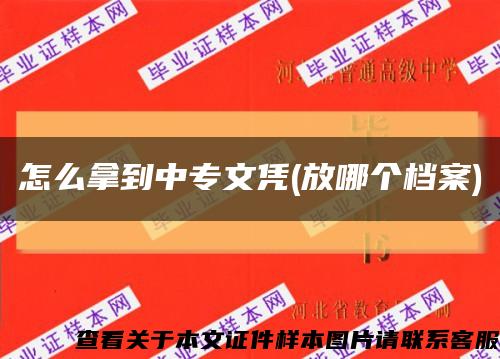 怎么拿到中专文凭(放哪个档案)缩略图