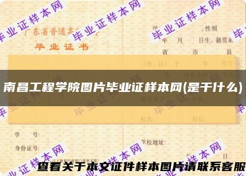 南昌工程学院图片毕业证样本网(是干什么)缩略图