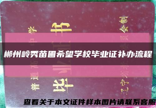 郴州岭秀苗圃希望学校毕业证补办流程缩略图