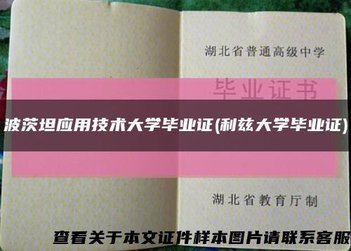 波茨坦应用技术大学毕业证(利兹大学毕业证)缩略图