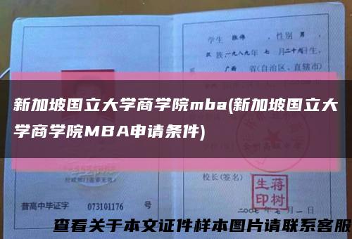 新加坡国立大学商学院mba(新加坡国立大学商学院MBA申请条件)缩略图