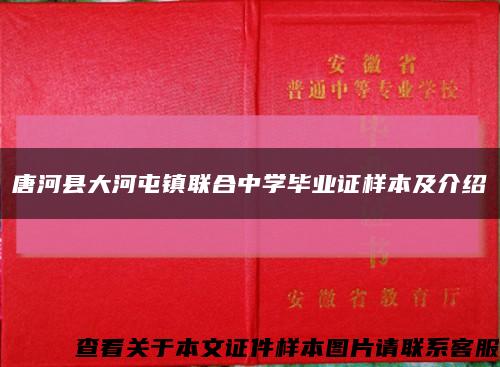 唐河县大河屯镇联合中学毕业证样本及介绍缩略图