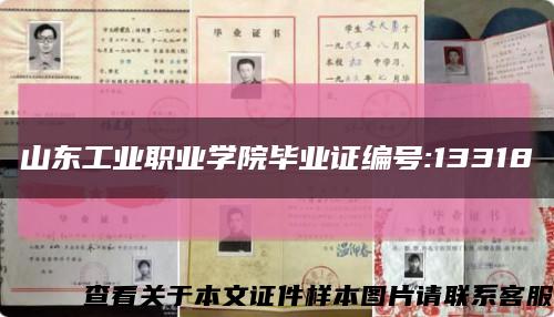 山东工业职业学院毕业证编号:13318缩略图