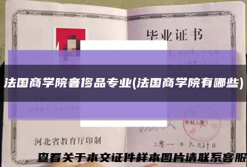 法国商学院奢侈品专业(法国商学院有哪些)缩略图