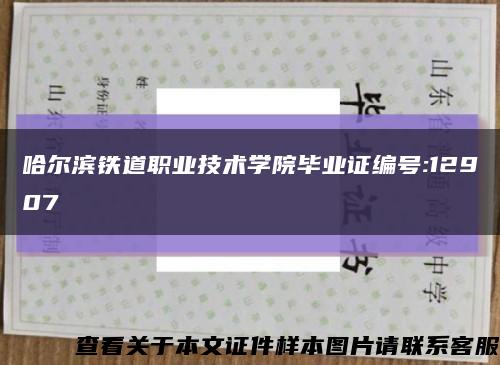 哈尔滨铁道职业技术学院毕业证编号:12907缩略图