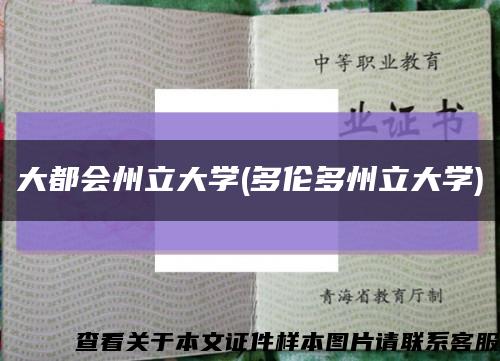 大都会州立大学(多伦多州立大学)缩略图