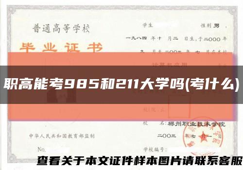 职高能考985和211大学吗(考什么)缩略图