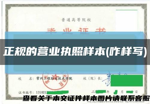 正规的营业执照样本(咋样写)缩略图