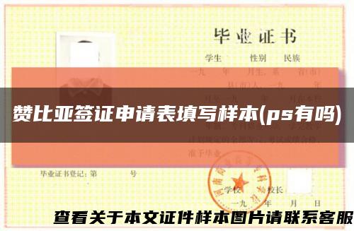 赞比亚签证申请表填写样本(ps有吗)缩略图