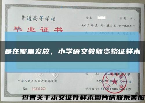 是在哪里发放，小学语文教师资格证样本缩略图