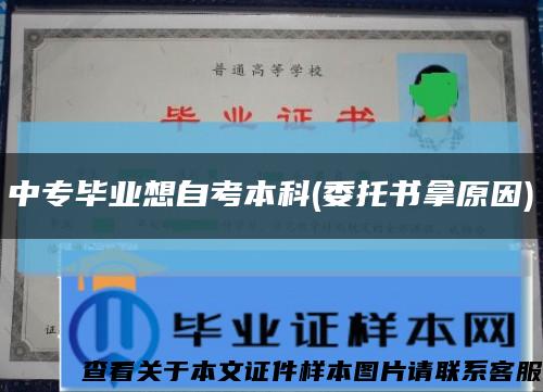 中专毕业想自考本科(委托书拿原因)缩略图