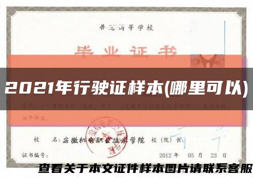 2021年行驶证样本(哪里可以)缩略图