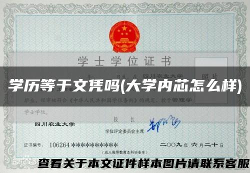 学历等于文凭吗(大学内芯怎么样)缩略图