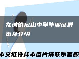 龙城镇凤山中学毕业证样本及介绍缩略图