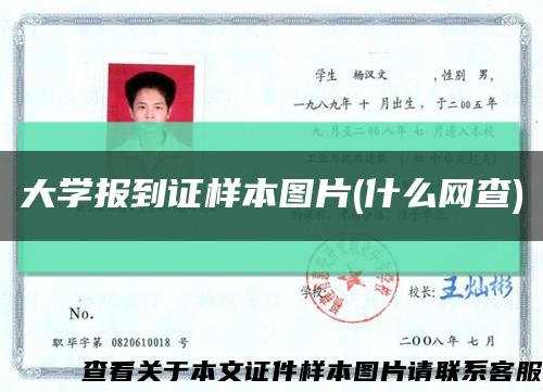 大学报到证样本图片(什么网查)缩略图