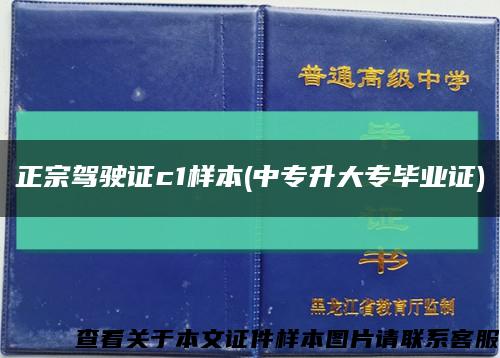 正宗驾驶证c1样本(中专升大专毕业证)缩略图