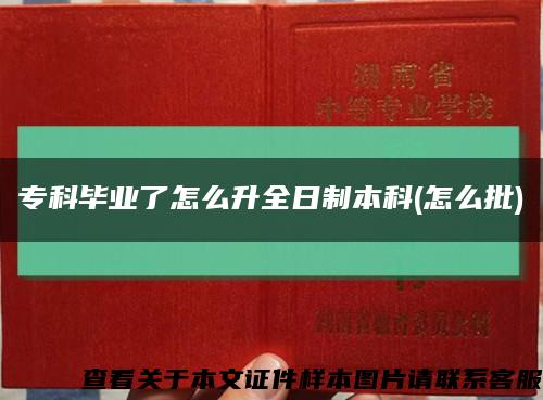 专科毕业了怎么升全日制本科(怎么批)缩略图