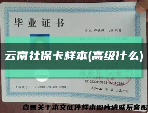 云南社保卡样本(高级什么)缩略图