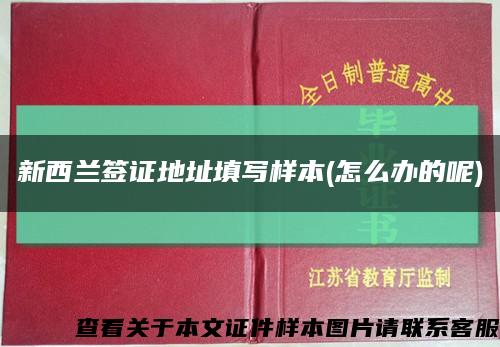 新西兰签证地址填写样本(怎么办的呢)缩略图