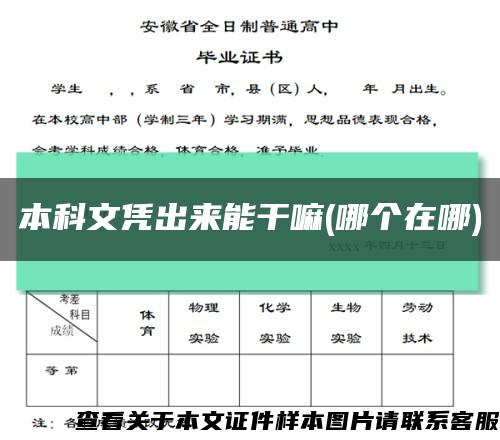 本科文凭出来能干嘛(哪个在哪)缩略图