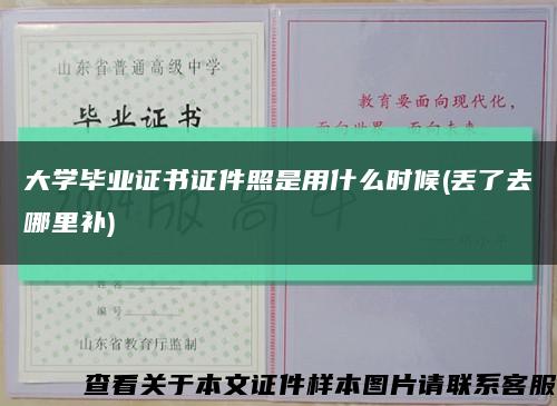 大学毕业证书证件照是用什么时候(丢了去哪里补)缩略图