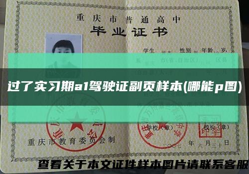 过了实习期a1驾驶证副页样本(哪能p图)缩略图