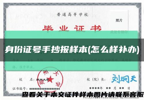 身份证号手抄报样本(怎么样补办)缩略图