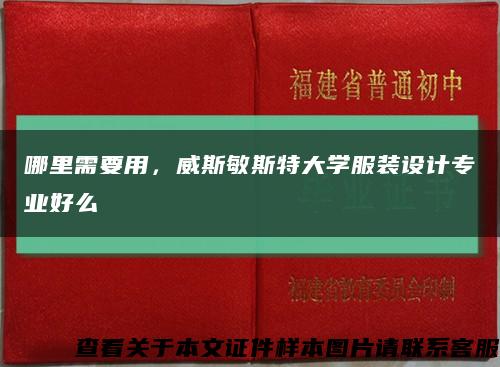 哪里需要用，威斯敏斯特大学服装设计专业好么缩略图