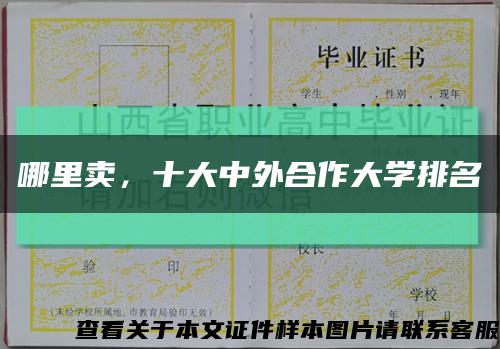 哪里卖，十大中外合作大学排名缩略图