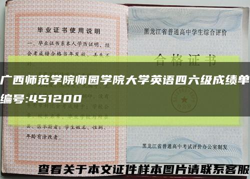 广西师范学院师园学院大学英语四六级成绩单编号:451200缩略图