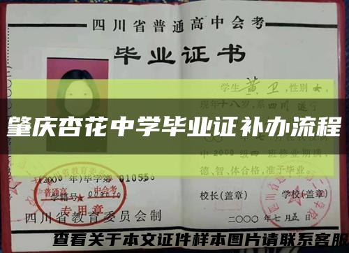 肇庆杏花中学毕业证补办流程缩略图