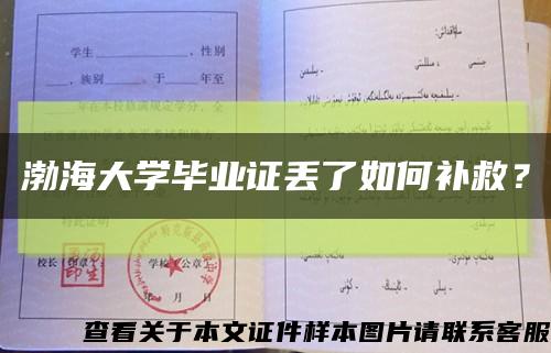 渤海大学毕业证丢了如何补救？缩略图