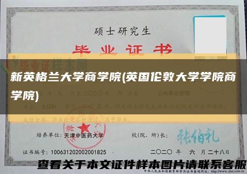 新英格兰大学商学院(英国伦敦大学学院商学院)缩略图