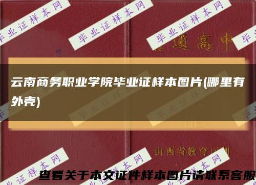 云南商务职业学院毕业证样本图片(哪里有外壳)缩略图