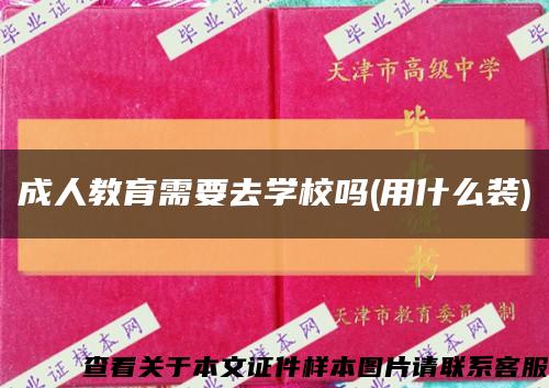 成人教育需要去学校吗(用什么装)缩略图