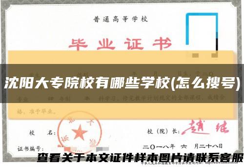 沈阳大专院校有哪些学校(怎么搜号)缩略图