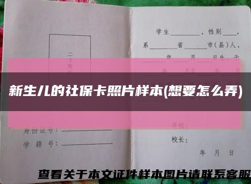 新生儿的社保卡照片样本(想要怎么弄)缩略图