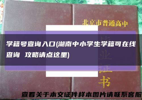 学籍号查询入口(湖南中小学生学籍可在线查询 攻略请点这里)缩略图