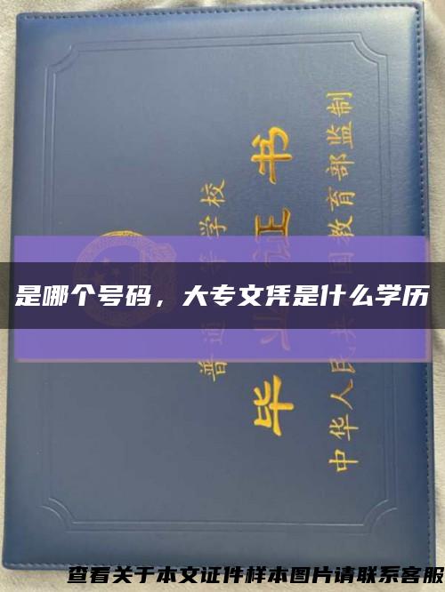 是哪个号码，大专文凭是什么学历缩略图