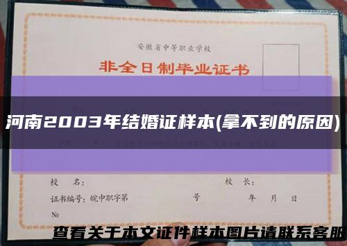 河南2003年结婚证样本(拿不到的原因)缩略图