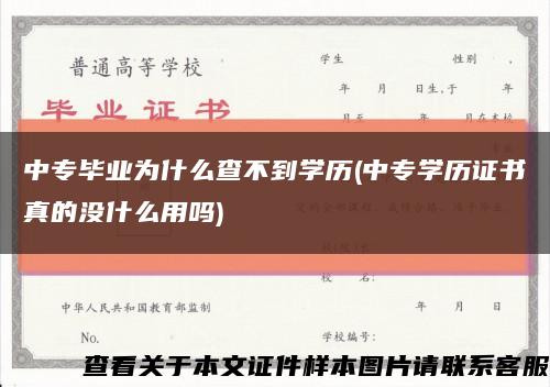 中专毕业为什么查不到学历(中专学历证书真的没什么用吗)缩略图