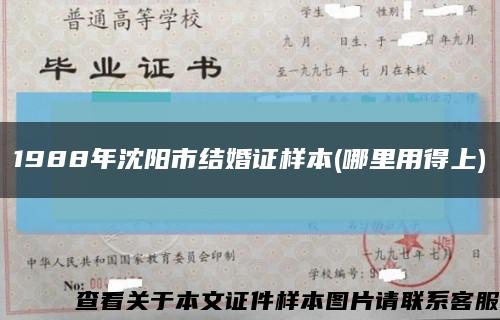 1988年沈阳市结婚证样本(哪里用得上)缩略图