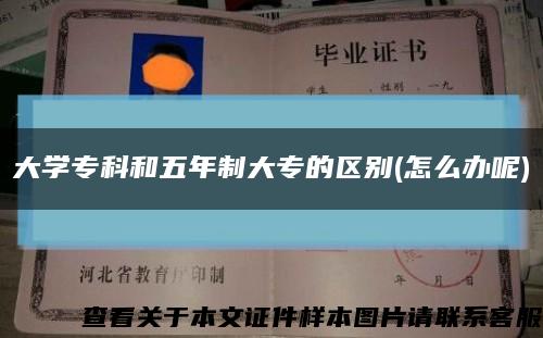 大学专科和五年制大专的区别(怎么办呢)缩略图