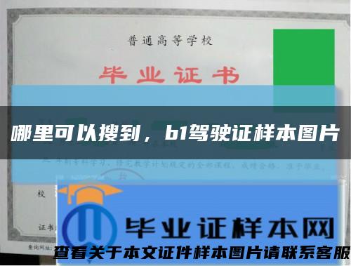 哪里可以搜到，b1驾驶证样本图片缩略图