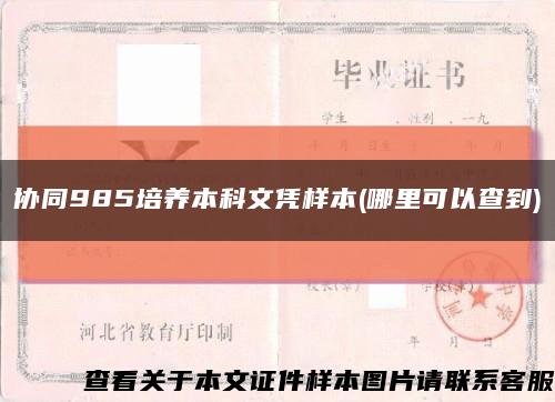 协同985培养本科文凭样本(哪里可以查到)缩略图