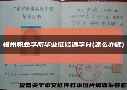 梧州职业学院毕业证修满学分(怎么办呢)缩略图