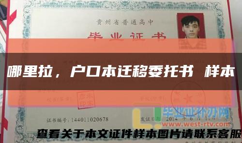 哪里拉，户口本迁移委托书 样本缩略图