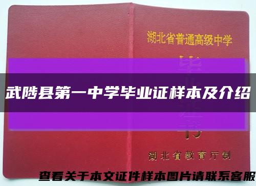 武陟县第一中学毕业证样本及介绍缩略图