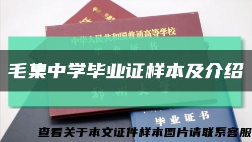 毛集中学毕业证样本及介绍缩略图