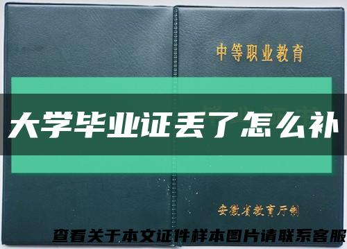 大学毕业证丢了怎么补缩略图